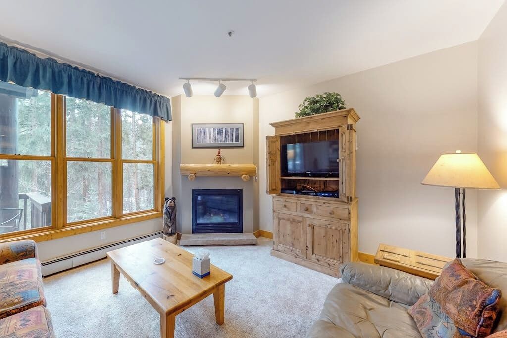TV, fireplace, DVD player, books