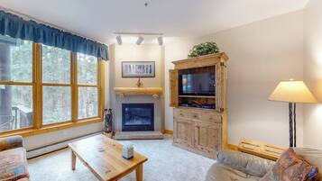 TV, fireplace, DVD player, books