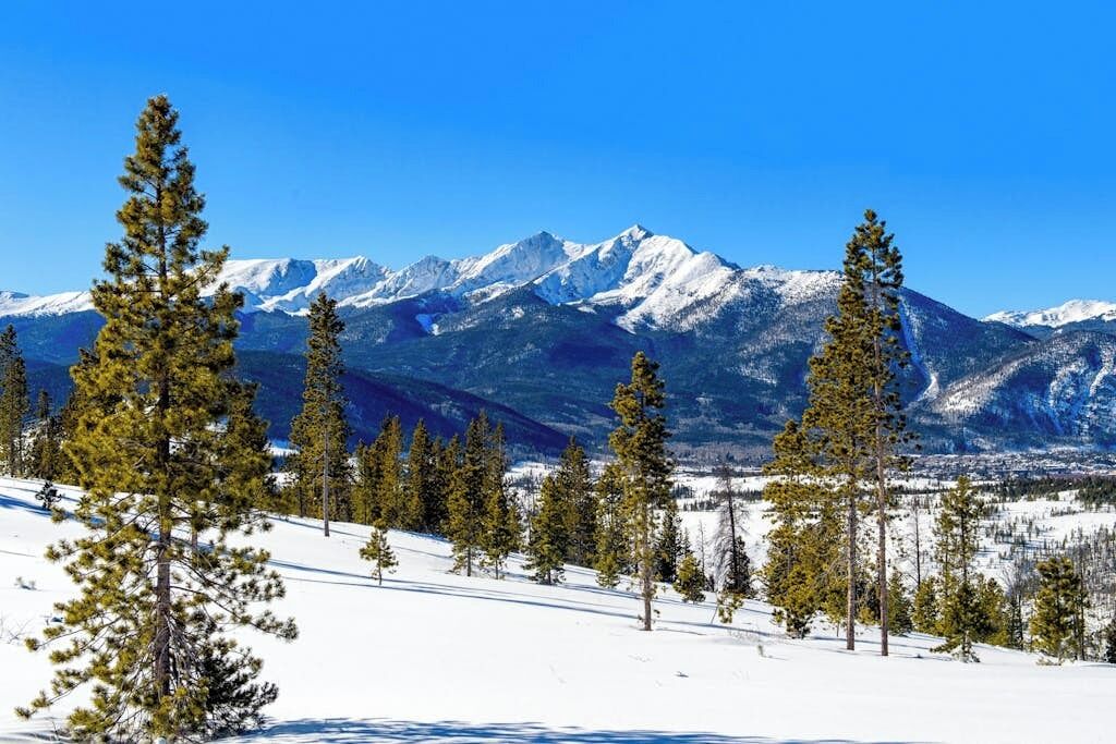 Paisatge de muntanya nevada amb pi i cims coberts de neu.