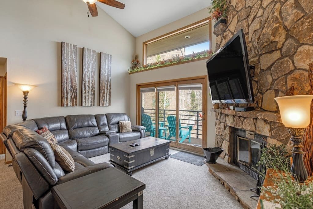 TV, fireplace, books