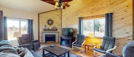 TV, fireplace, books