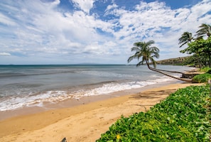 Ein Strand mit Palmen, Sand und dem Meer.