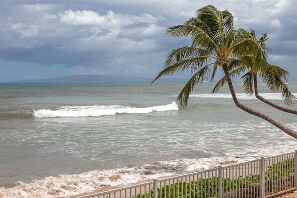 On the beach - New Listing! Beautifully designed sunlit getaway (Wailuku)