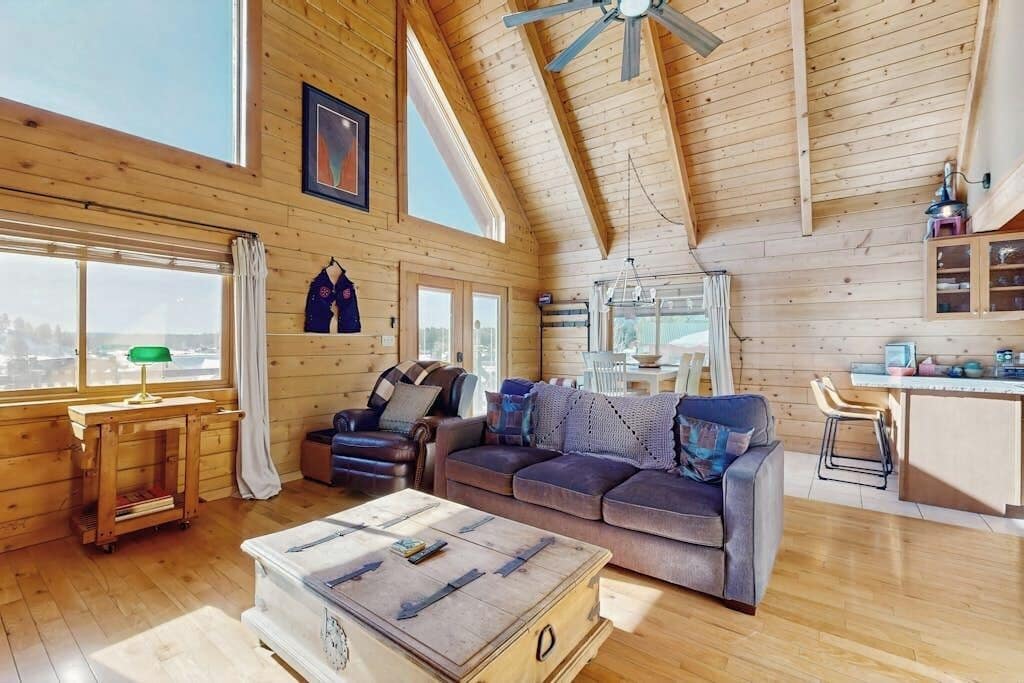 TV, fireplace, books