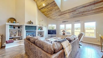 TV, fireplace, books