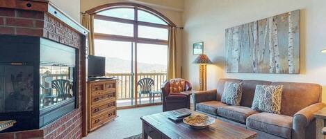 TV, fireplace, DVD player, books