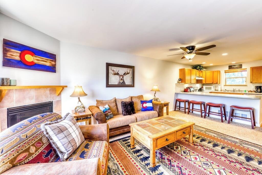 TV, fireplace, DVD player, books