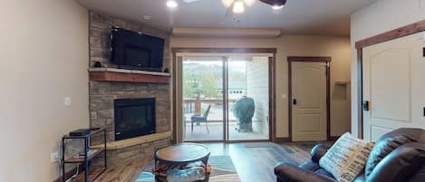 TV, fireplace, books