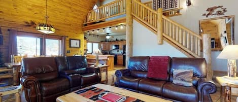 TV, fireplace, books, video library