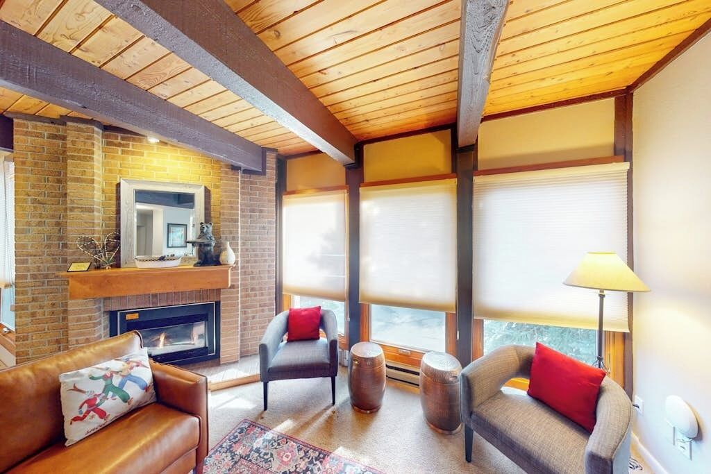 TV, fireplace, computer monitors
