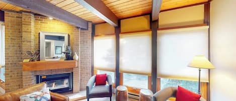 TV, fireplace, computer monitors