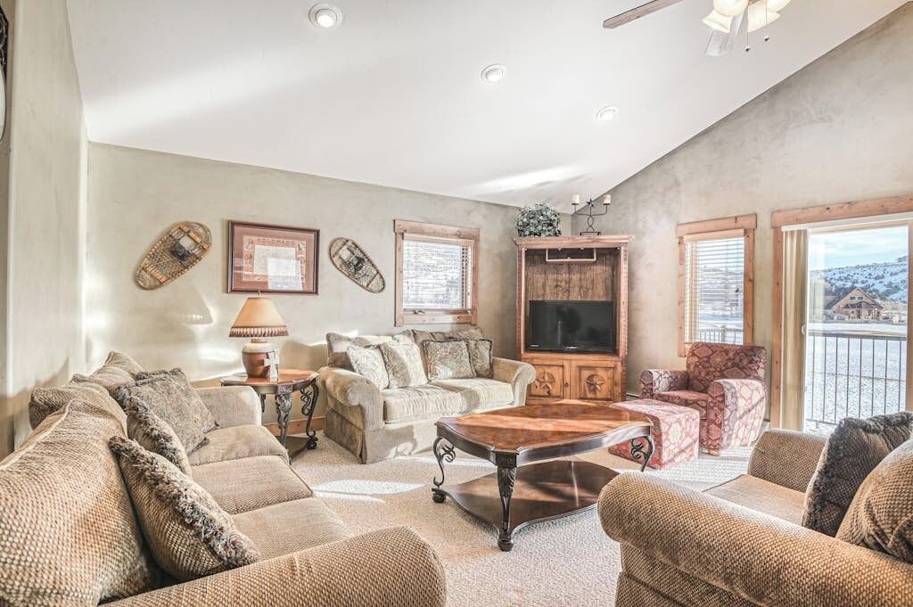 TV, fireplace, books