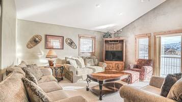 TV, fireplace, books