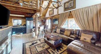 Classic alpine cabin with fast WiFi, enclosed yard, deck, dogs ok