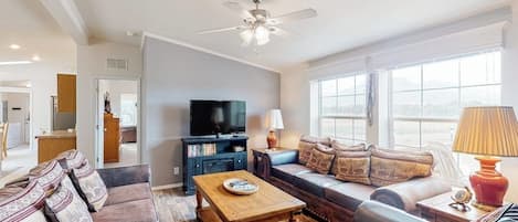 TV, fireplace, books