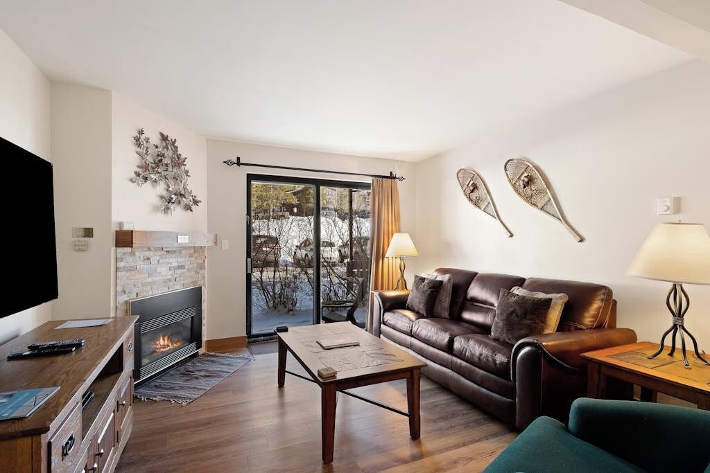 TV, fireplace, DVD player