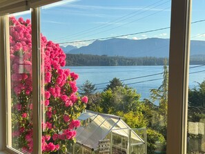 Una ventana con flores rosadas, un invernadero y un lago con montañas al fondo.