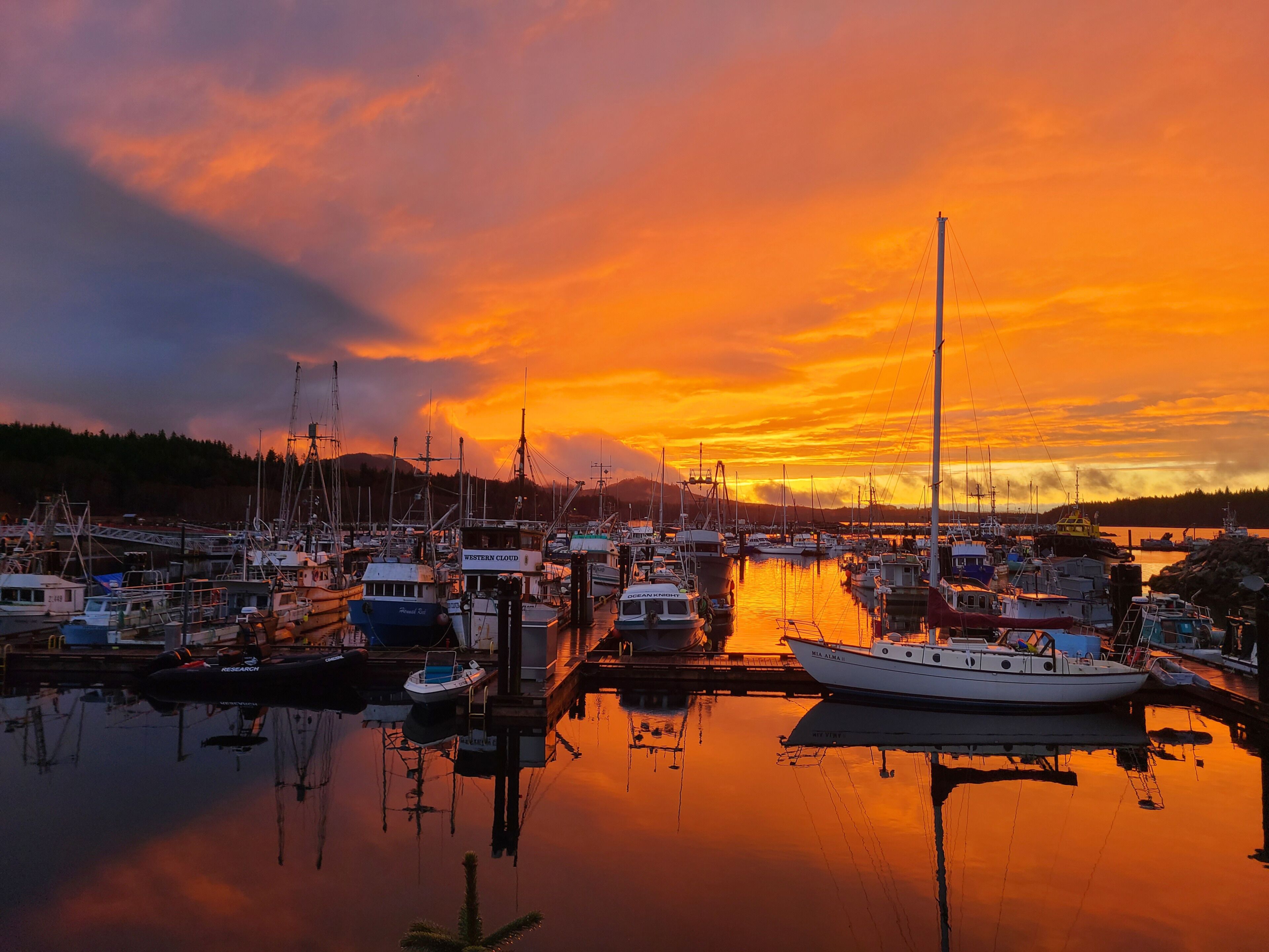 Marina/club náutico