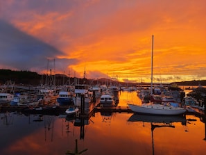 Marina