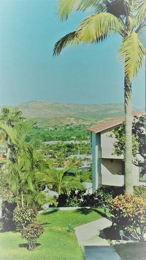 Property grounds - 2-Bedroom Condo in Beautiful San José del Cabo. Near Beach and Attractions. (San José del Cabo)