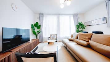 Flat-screen TV