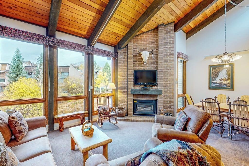 TV, fireplace, DVD player, books