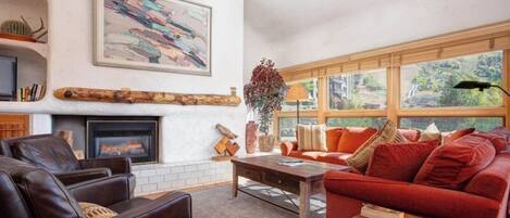 TV, fireplace, DVD player
