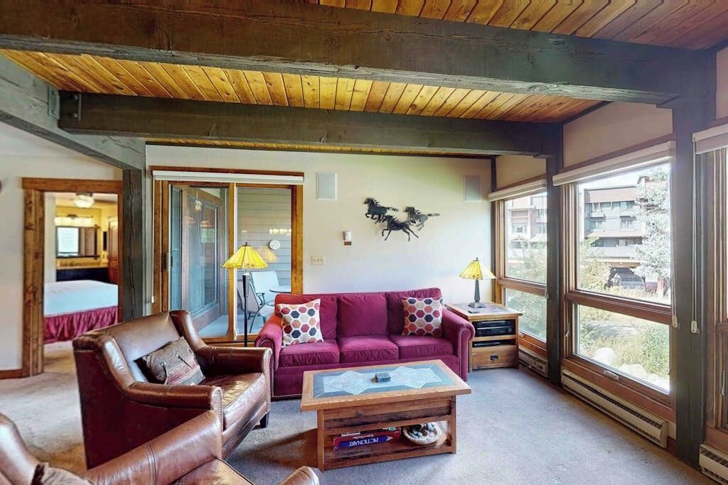 TV, fireplace, DVD player