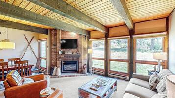 TV, fireplace, DVD player