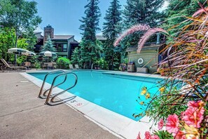 Piscine chauffée