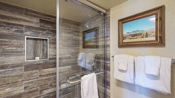 Shower, hair dryer, towels