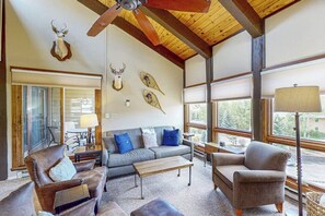 TV, fireplace, DVD player, books