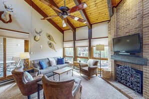 TV, fireplace, DVD player, books