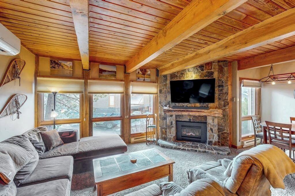 TV, fireplace, DVD player, books