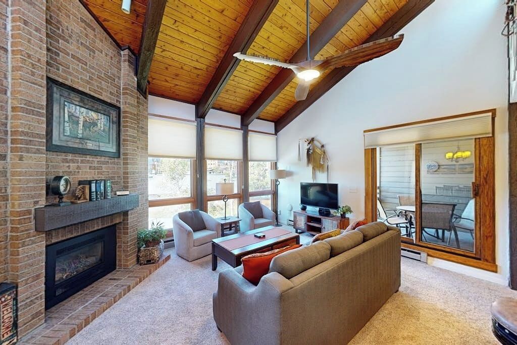 TV, fireplace, DVD player, books