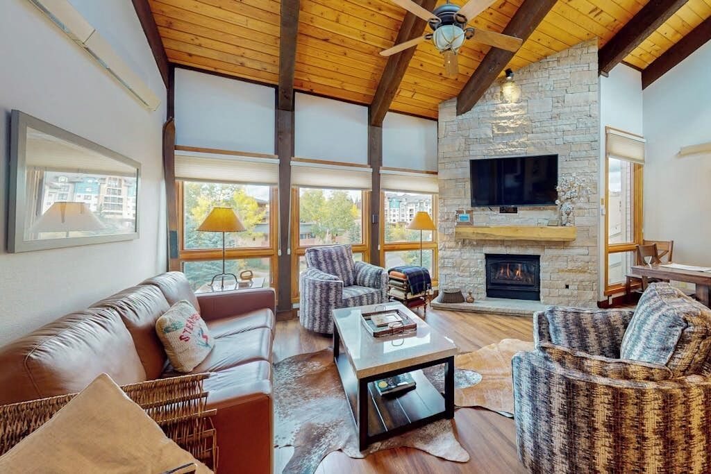 TV, fireplace, DVD player, books