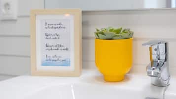 Junior Apartment | Bathroom