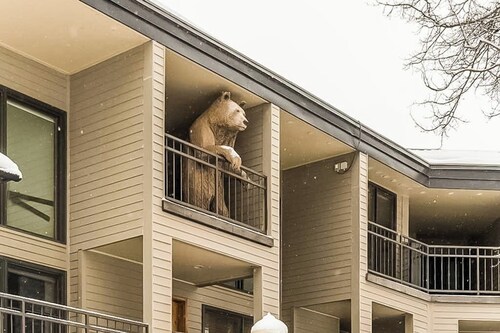 Stunning ski-in/out condo with balcony, fireplace, hot tub, & mountain views