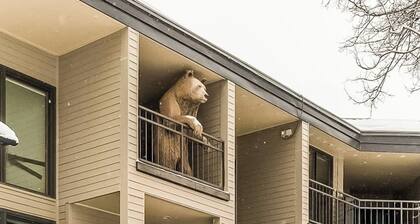 Stunning ski-in/out condo with balcony, fireplace, hot tub, & mountain views