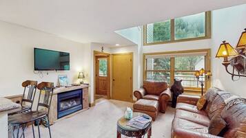 TV, fireplace, DVD player