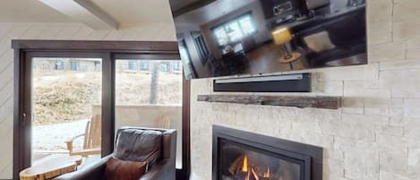 TV, fireplace, books, stereo