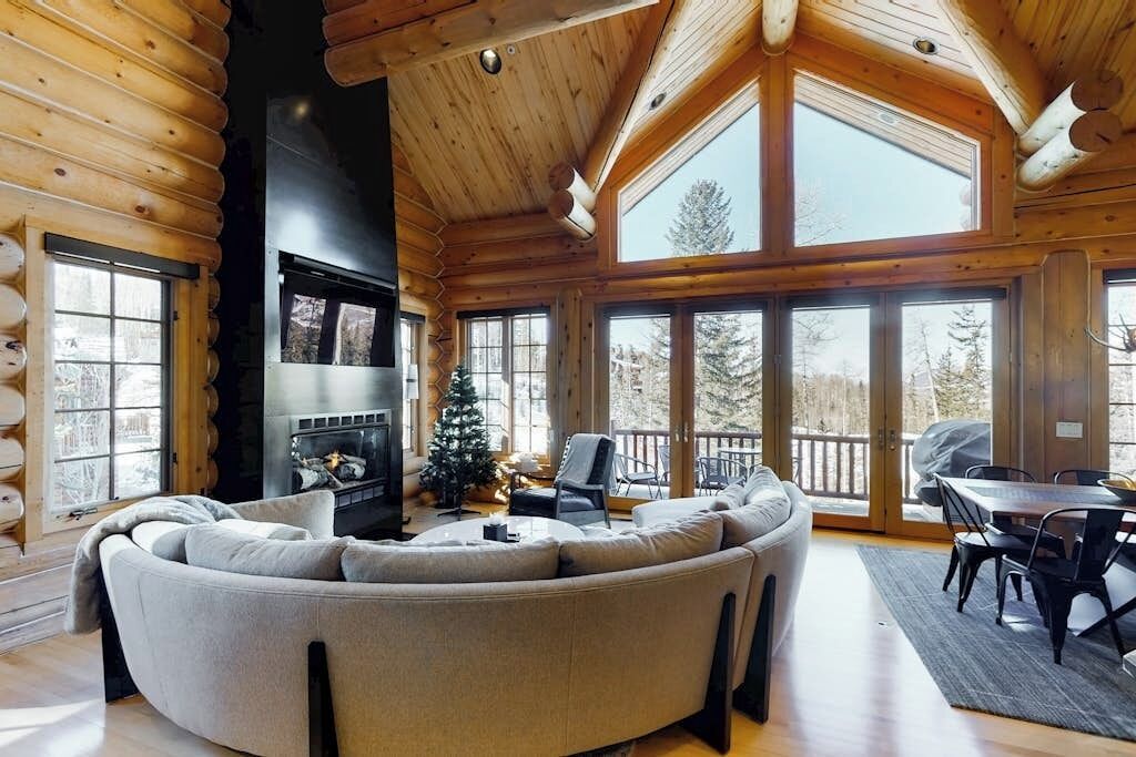 TV, fireplace, books, music library