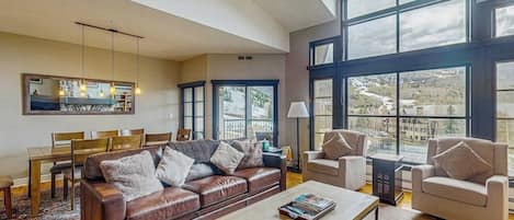 TV, fireplace, DVD player, books