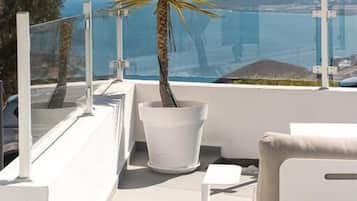 Casa de lujo, patio, vista al jardín | Áreas de la propiedad