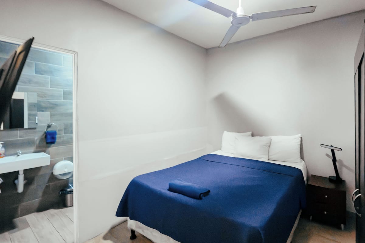 A bedroom with a bed, a ceiling fan, a bathroom with a sink and toilet, and a door.