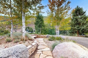 Un sentier de pierres mène à un espace agrémenté d’un banc en pierre, entouré de bouleaux et avec une chaîne de montagnes en arrière-plan.