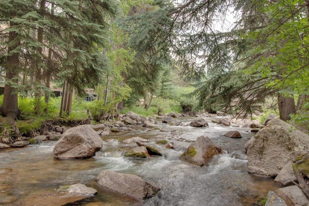A natural outdoor setting with a flowing stream, surrounded by trees and rocks.