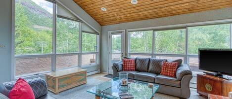 TV, fireplace, books