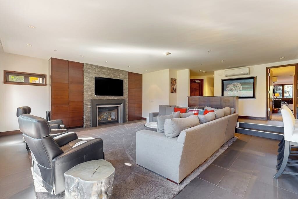TV, fireplace, books