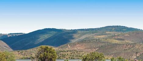Un paysage avec des collines, un pont et des arbres.
